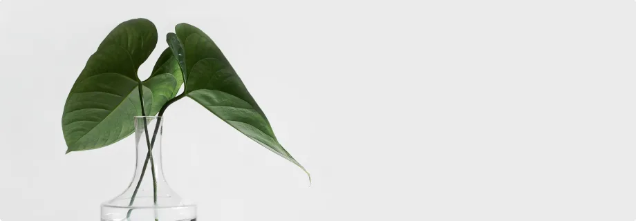 Explore Our Latest Case Studies - 九游